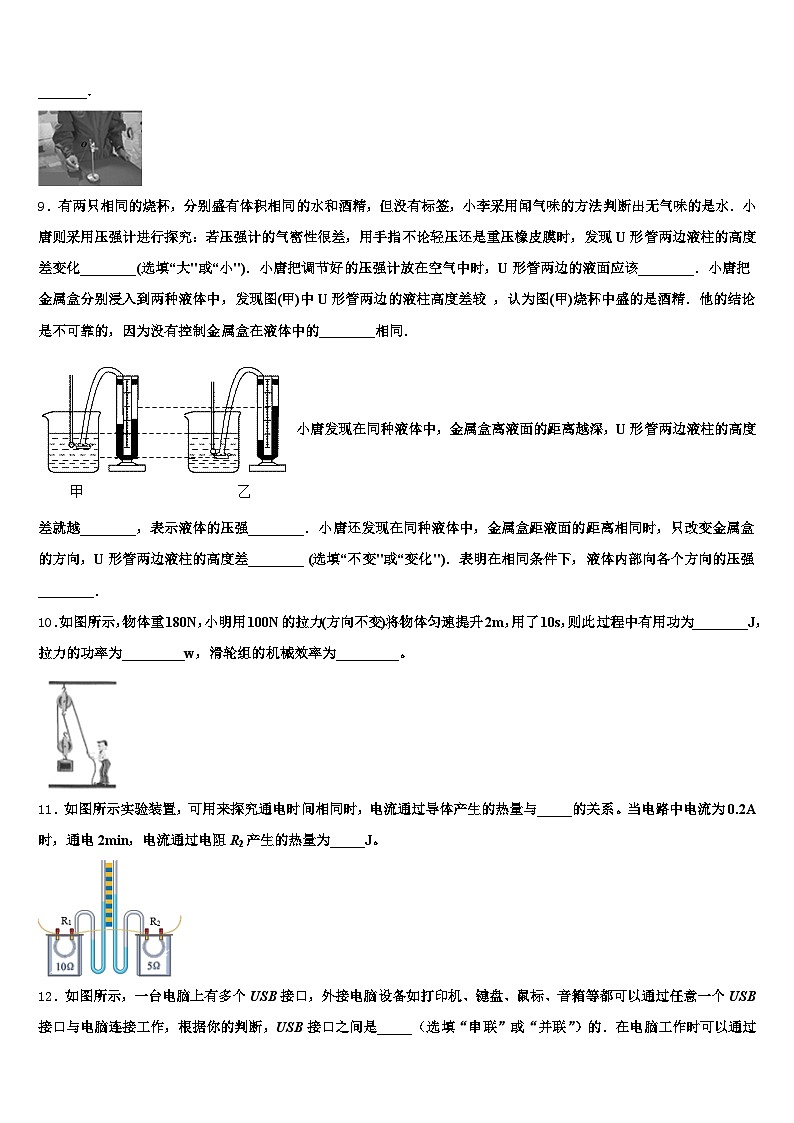 四川省遂宁市2025-2026学年中考物理模拟预测题(含答案解析)第3页