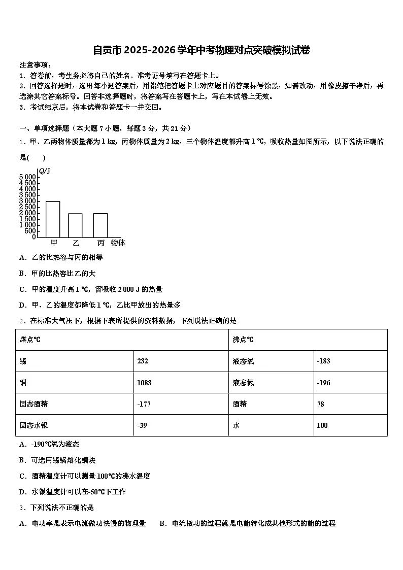 自贡市2025-2026学年中考物理对点突破模拟试卷(含答案解析)第1页