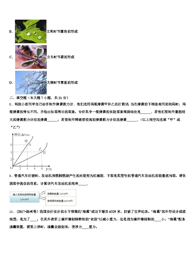 自贡市2025-2026学年中考物理对点突破模拟试卷(含答案解析)第3页