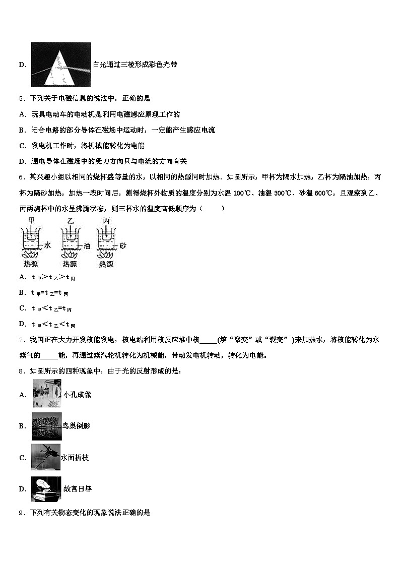 南充市2025-2026学年初中物理毕业考试模拟冲刺卷(含答案解析)第2页
