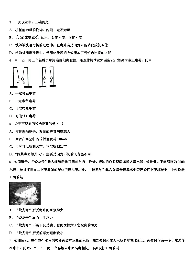 2026年山东省临沂市中考物理最后一模试卷(含答案解析)第2页
