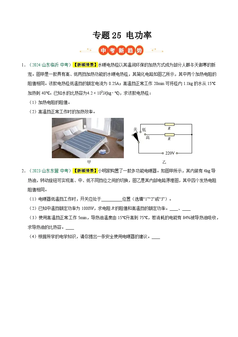 专题25 电功率(山东专用)(原卷版)第1页