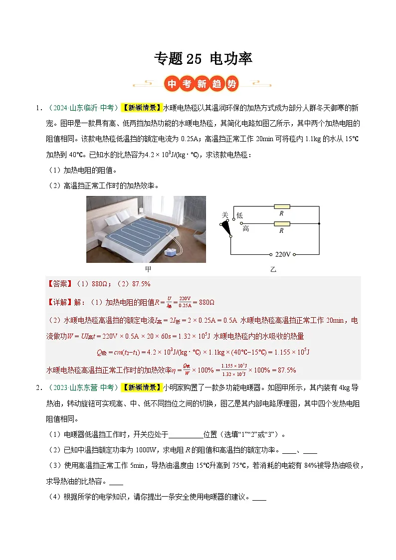 专题25 电功率(山东专用)(解析版)第1页