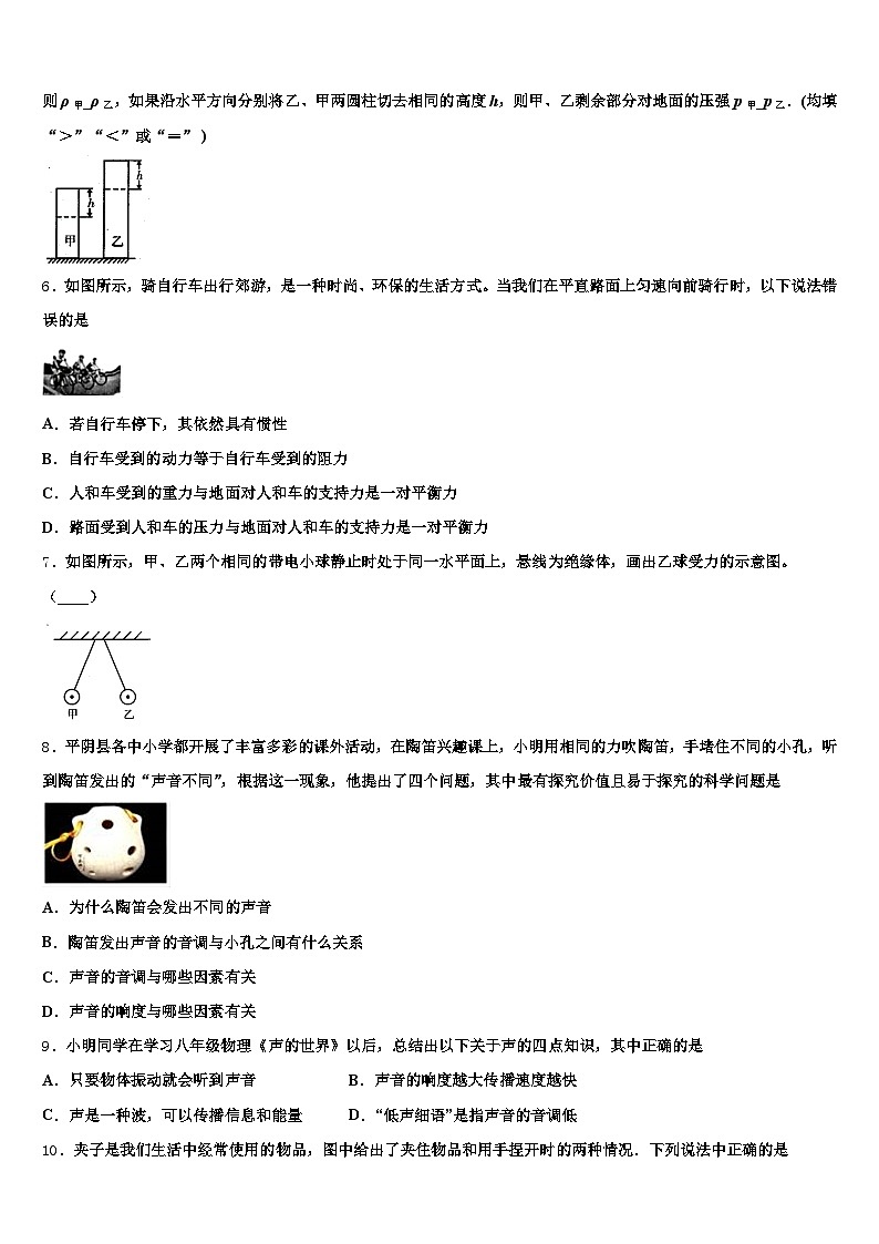 2025-2026学年广东省河源市中考考前最后一卷物理试卷(含答案解析)第3页