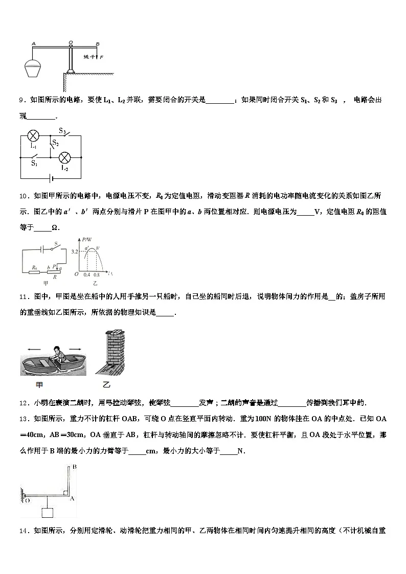 2026年河南省新乡市中考物理押题试卷(含答案解析)第3页