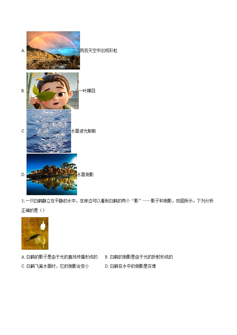 江苏省江阴市青阳镇2025-2026学年八年级上学期期中考试物理试卷-自定义类型第2页