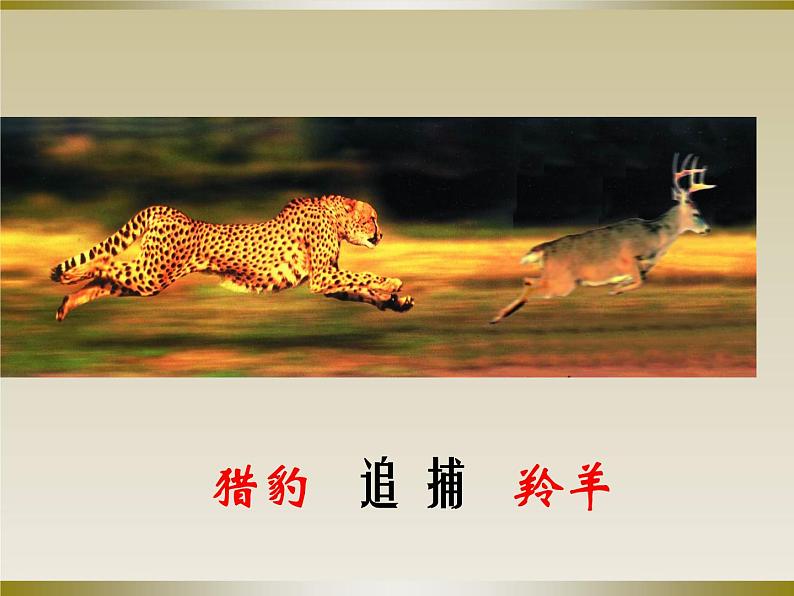 苏科物理八年级上册第五章1长度和时间的测量(共45张PPT)第2页