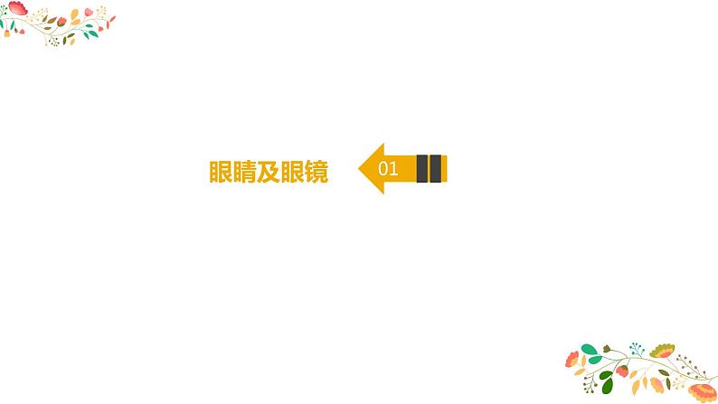 人教版八年级物理第五章《透镜的应用》21张ppt第3页