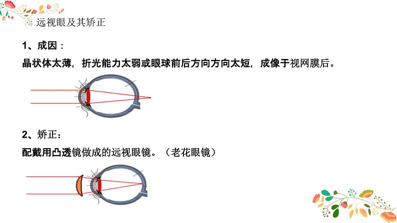 人教版八年级物理第五章《透镜的应用》21张ppt第8页