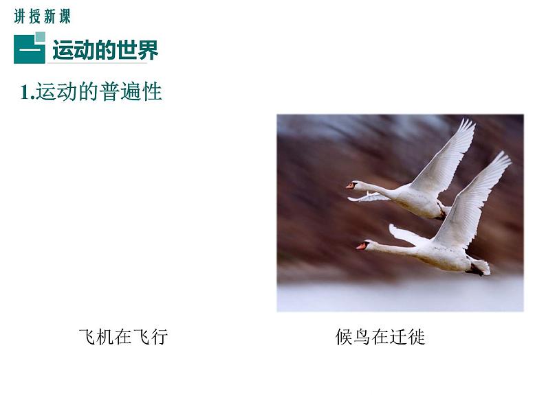 沪科版物理八年级上册:2.1《动与静》课件04