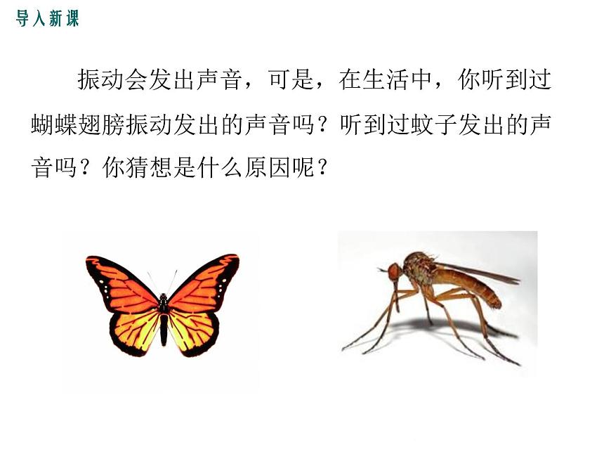 3.3《超聲與次聲》課件第2頁