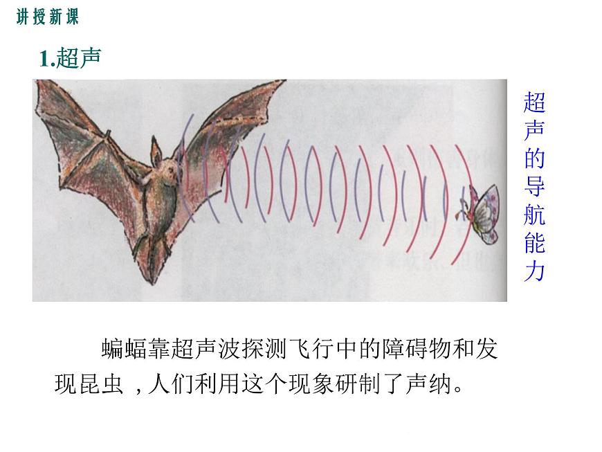 3.3《超聲與次聲》課件第8頁
