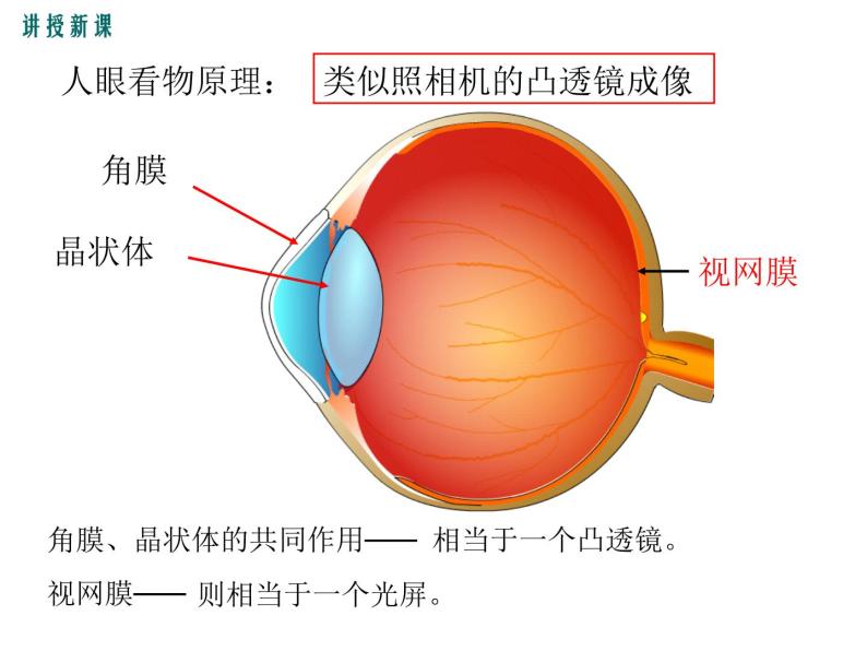 沪科版物理八年级上册：4.6.1《神奇的眼睛（第1课时）》课件06