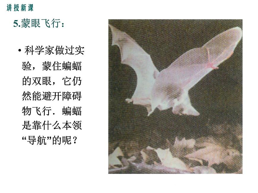 1.1  希望你喜愛物理 課件第8頁