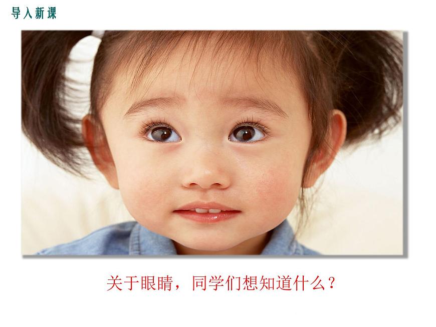 3.7 眼睛與光學儀器 課件第2頁