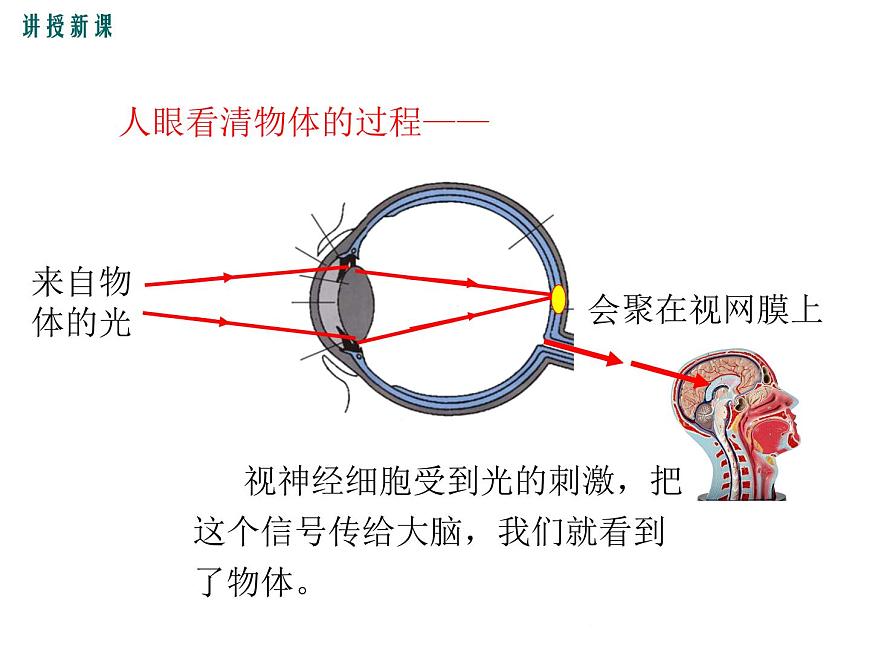 3.7 眼睛與光學儀器 課件第7頁