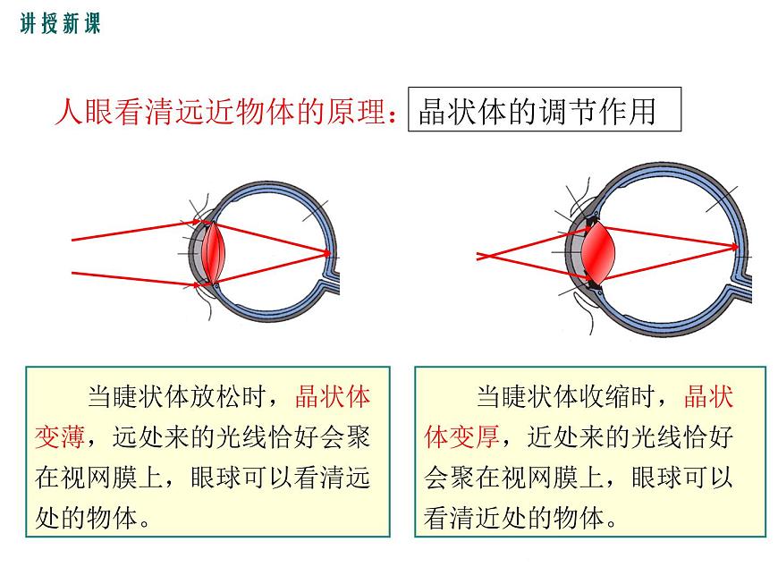 3.7 眼睛與光學儀器 課件第8頁