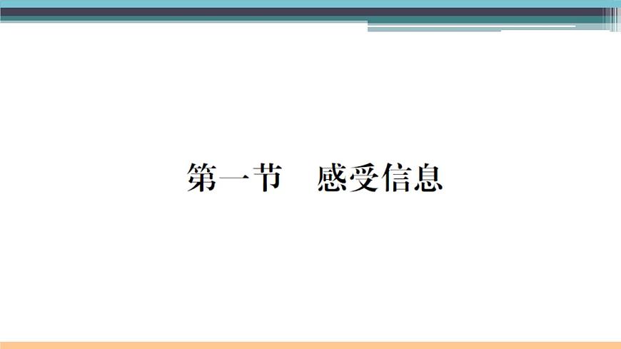 19.1 感受信息 練習(xí)課件第1頁