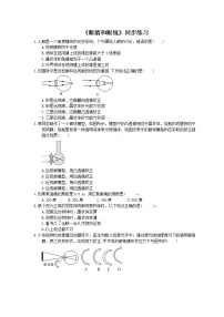 物理八年级上册第4节 眼睛和眼镜练习