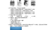 北师大版八年级上册一 光的传播综合训练题