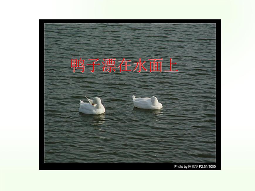 八年級(jí)下物理課件八年級(jí)下冊(cè)物理課件《浮力》  人教新課標(biāo)   (9)_人教新課標(biāo)第2頁