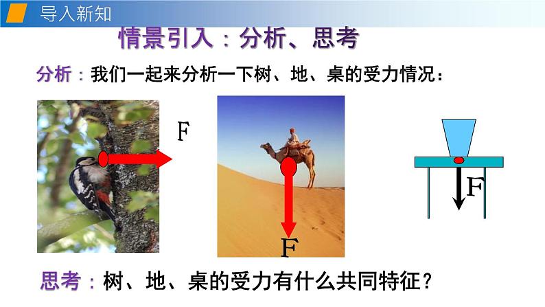 8.1压力的作用效果(备课件)-2020-2021学年八年级物理下册同步备课系列(沪科版)04
