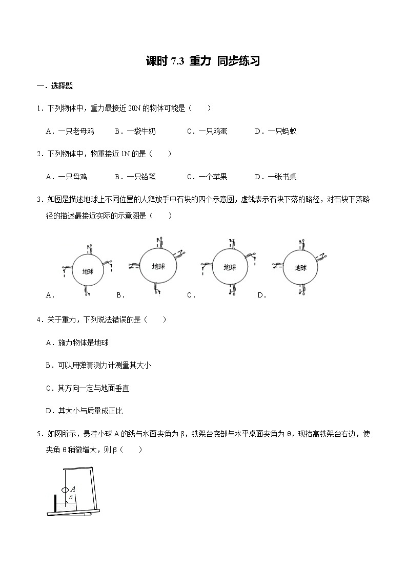 课时7.3 重力(练习)-2020-2021学年八年级物理下册同步备课一体化资源01