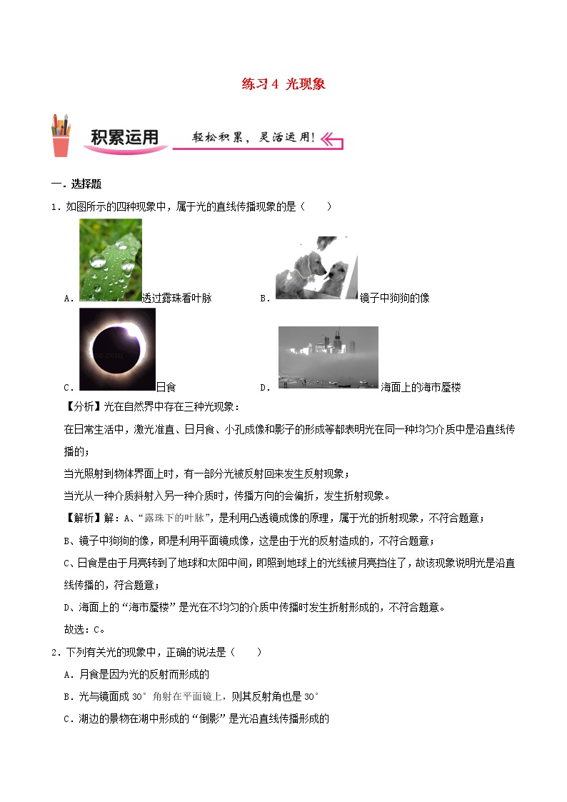 2020_2021学年八年级物理上学期寒假作业巩固练04光现象含解析沪科版