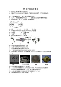 北师大版九年级全册第十四章   电磁现象综合与测试同步测试题