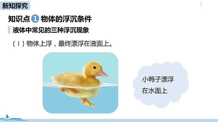 人教八（下）第十章第3節(jié)物體的浮沉條件及應(yīng)用第4頁(yè)