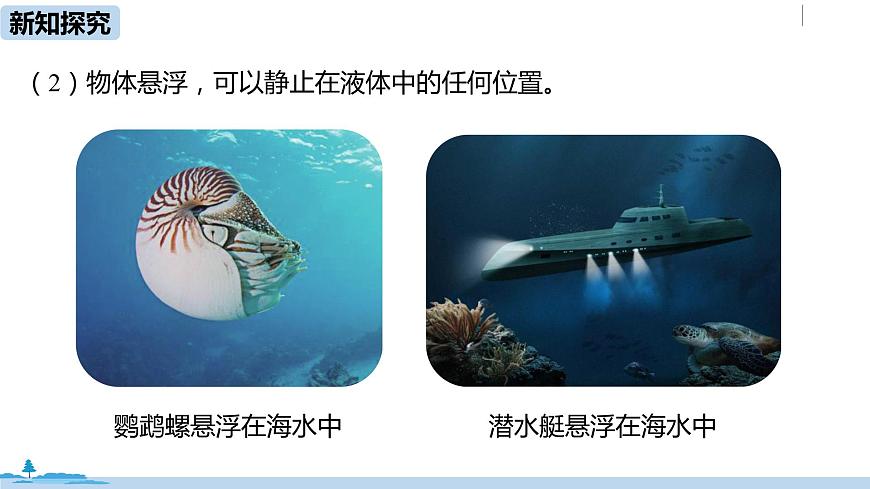 人教八（下）第十章第3節(jié)物體的浮沉條件及應(yīng)用第5頁(yè)