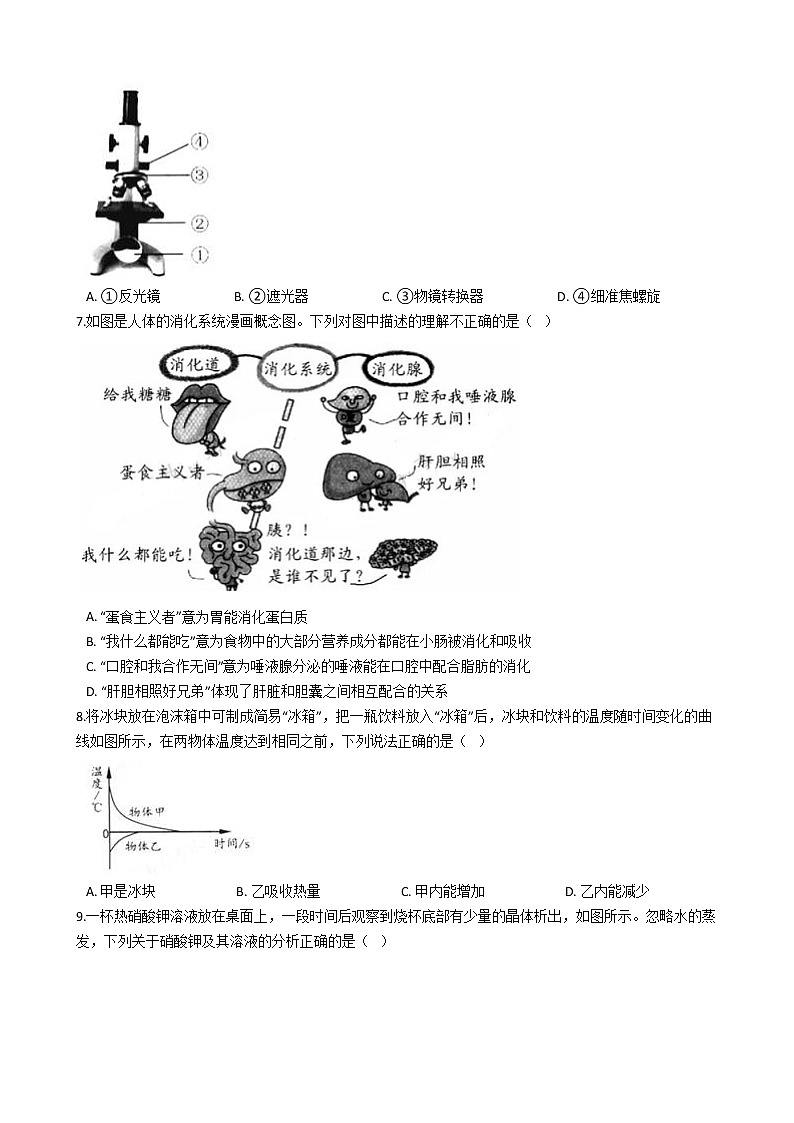 浙江省衢州市2020年中考科学试题(word版,含解析)02