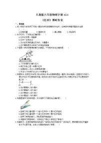 初中人教版12.1 杠杆当堂达标检测题