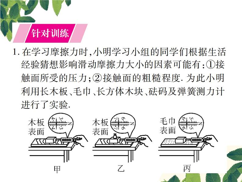 人教版八年级下册物理第八章 实验突破三《探究影响滑动摩擦力大小的因素》 课件02