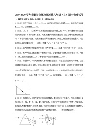 2019-2020学年安徽省合肥市肥西县八年级（上）期末物理试卷（含答案）