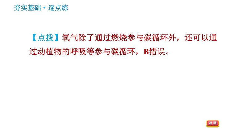 鲁教版九年级上册化学习题课件 第6单元 6.3 大自然中的二氧化碳第5页