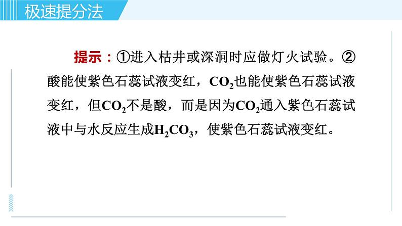 鲁教版九年级上册化学习题课件 专题三 身边的化学物质 第3讲 大自然中的二氧化碳04