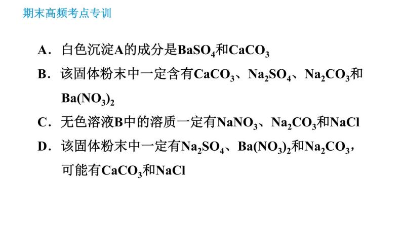 沪教版九年级下册化学课件 期末高频考点专训 专训5 实验探究005