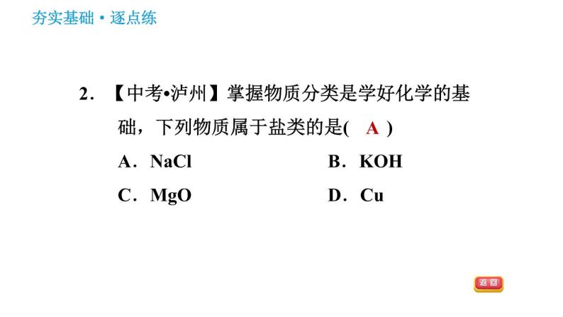 沪教版九年级下册化学课件 第7章 7.3.1 盐的化学性质及复分解反应发生的条件04