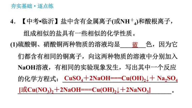 沪教版九年级下册化学课件 第7章 7.3.1 盐的化学性质及复分解反应发生的条件06