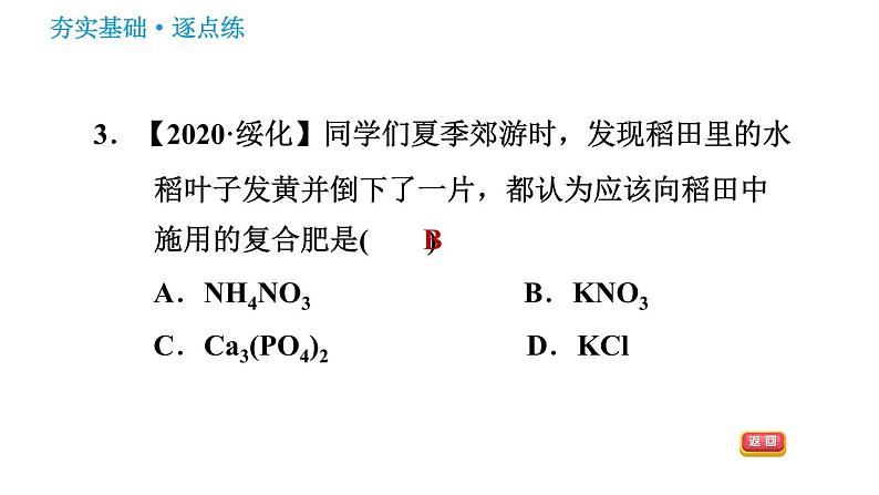 沪教版九年级下册化学课件 第7章 7.3.3 化学肥料005