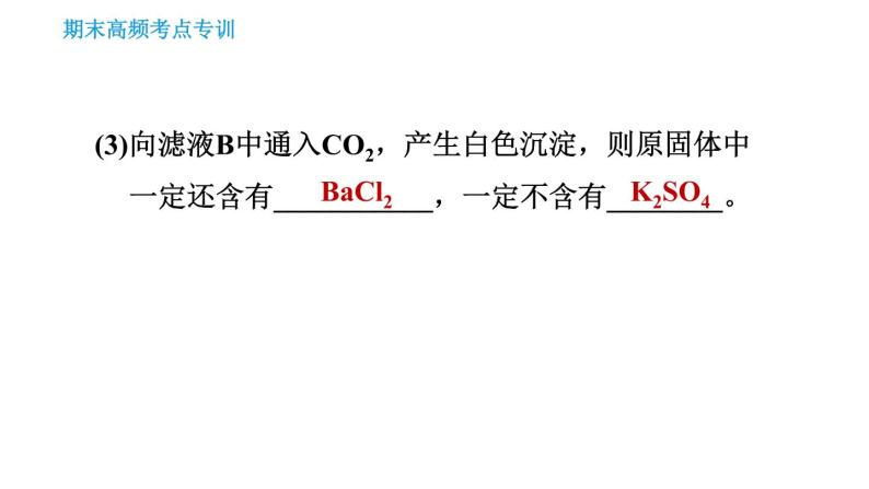 人教版九年级下册化学习题课件 期末考点 专训5 物质的推断07