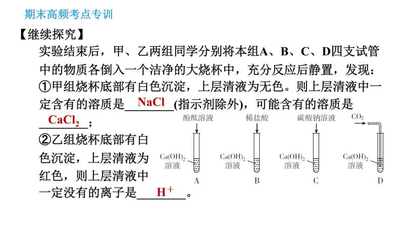 科学版九年级下册化学 期末专训 习题课件04