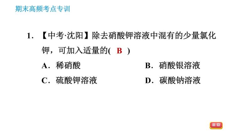 科学版九年级下册化学 期末专训 习题课件03