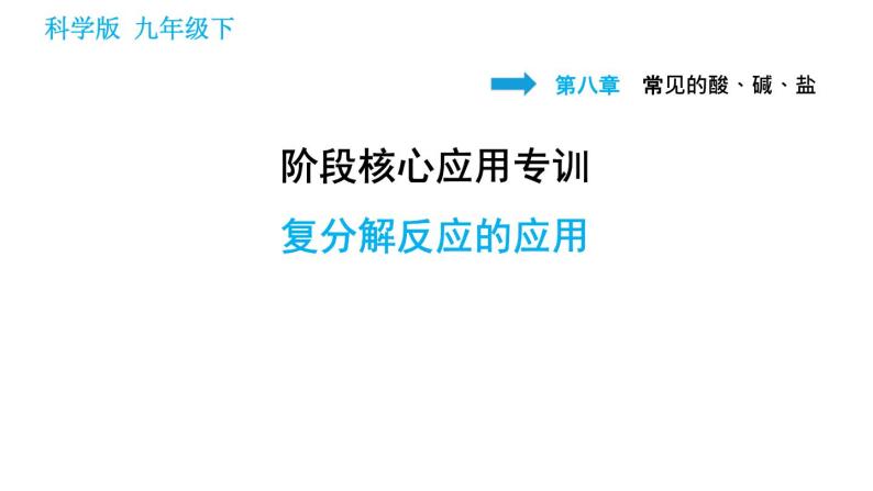 科学版九年级下册化学课件 第8章 阶段核心应用专训 复分解反应的应用01