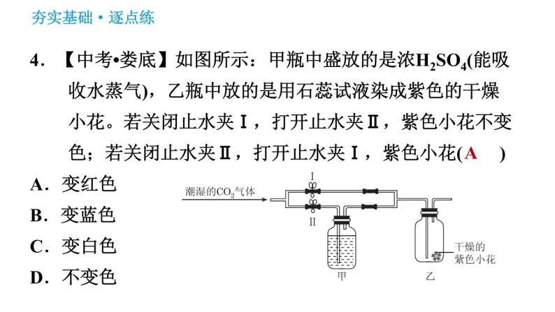 鲁教五四版八年级化学课件 第6单元 到实验室去：二氧化碳的实验室制取与性质08