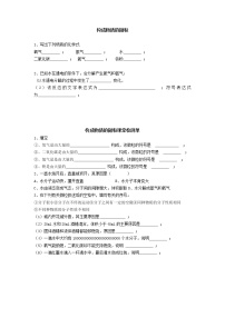 沪教版 (上海)九年级第一学期2.3 化学变化中的质量守恒导学案