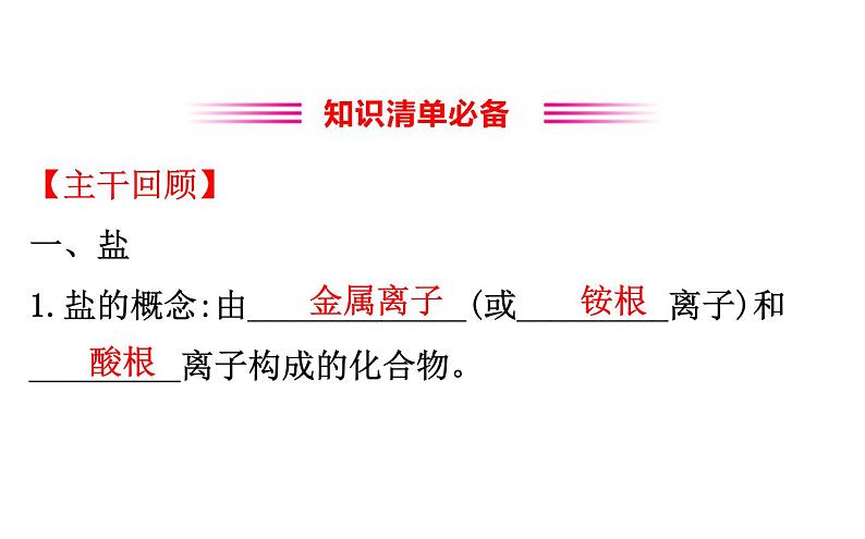 2021-2022学年人教版化学中考复习之盐,化肥课件PPT第3页
