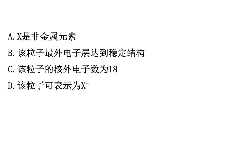 2021-2022学年人教版化学中考复习之化学用语课件PPT06