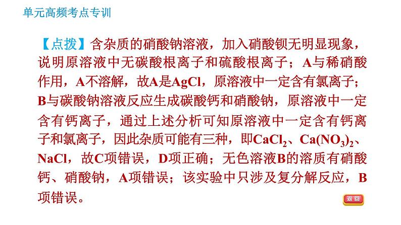 鲁教版九年级下册化学课件 期末高频考点专训 专训4 物质的推断第5页